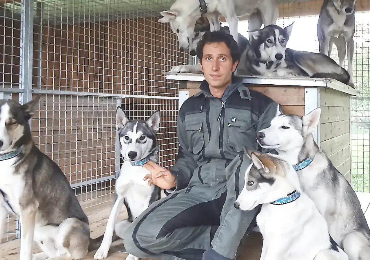 Huskies Escapade - Chiens de traineau